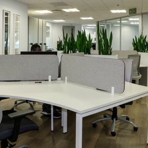 Desk Mounted Partitions